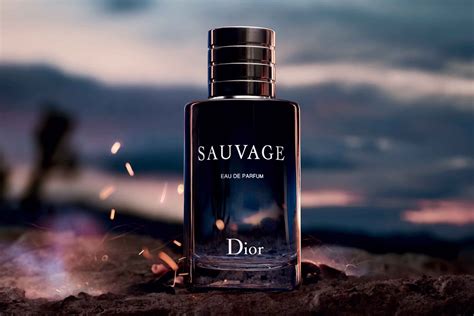 dior sauvage gratisprobe|dior sauvage best price.